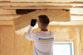 Best Eco-Friendly or Green Insulation Solutions  in Bellevue, IA